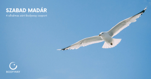 Szabad Madár - 4 alkalmas zárt Bodyway csoport